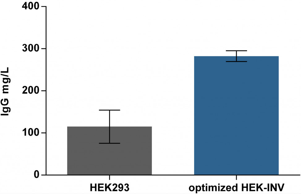 Antibody quantities: Comparison of HEK293 and optimized HEK-INV.